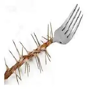 Fourchette minceur
